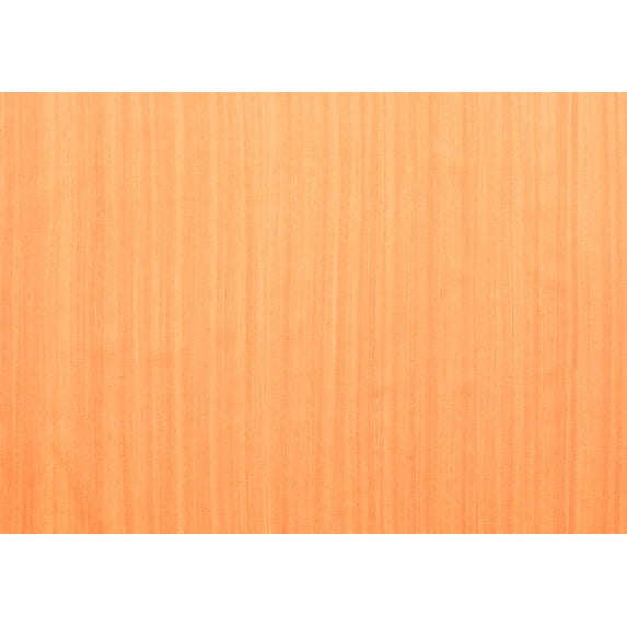 Ahgly Company Indoor Rectangle Abstract Orange Contemporary Area Rugs, 8' x 12'