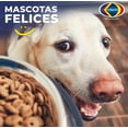 thumbnail image 4 of Fibra Esponja Pet Bowl Corazzi 12 Paquetes Multicolor, 4 of 5