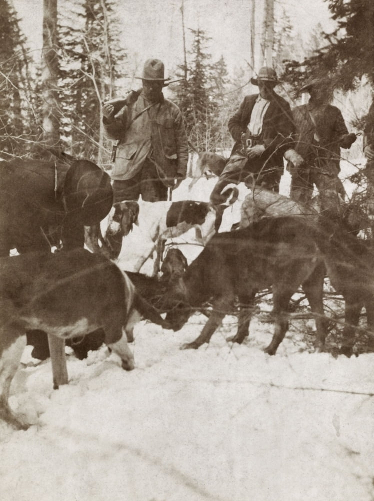 President Theodore Roosevelt Standing Over A Big Killed Bear History (18 x 24) - Walmart.com