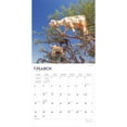 thumbnail image 3 of Goats in Trees 2025 12 X 24 Inch Monthly Square Wall Calendar Plastic-Free (Wall), 3 of 9