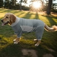 thumbnail image 4 of Dog Sun Protection Cooling Suit UPF 50+, Quick-Dry Breathable Jumpsuit for Large & Medium Dogs, Outdoor Dirt-Resistant Shedding Control Pet Apparel, 4 of 9