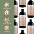 thumbnail image 6 of Pecksniff's Aroma:Therapy Re-Charge Shower Gel – Luxurious Moisturizing Bath & Body Cleanser, 1000 ml/33.8 fl oz Bottle, 6 of 11