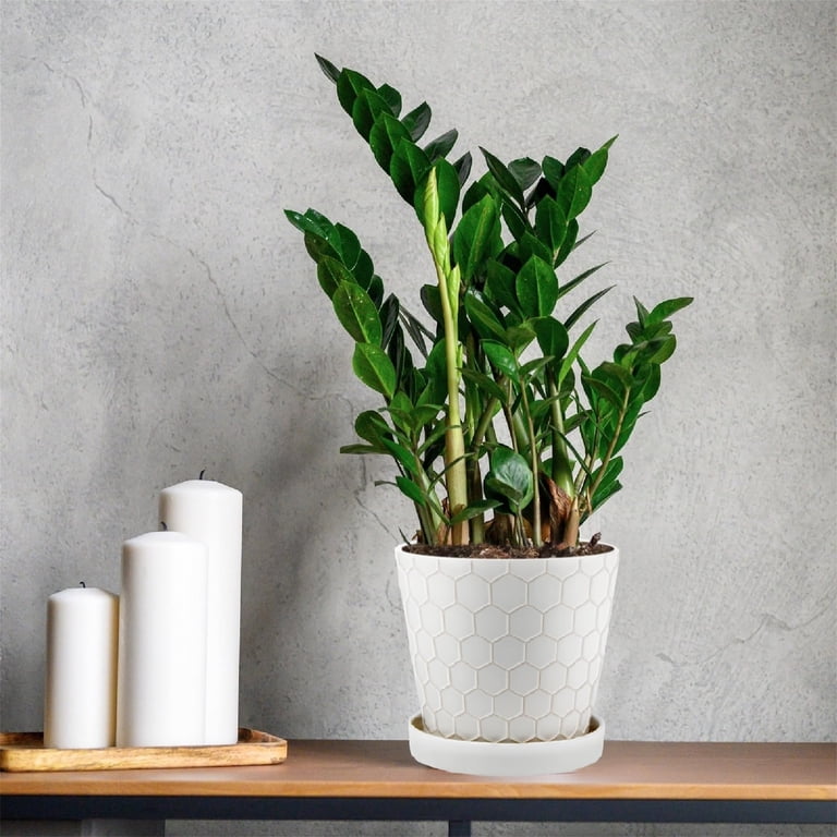 Modern Ceramic Planter Set, 3-Piece with Drainage photo 3