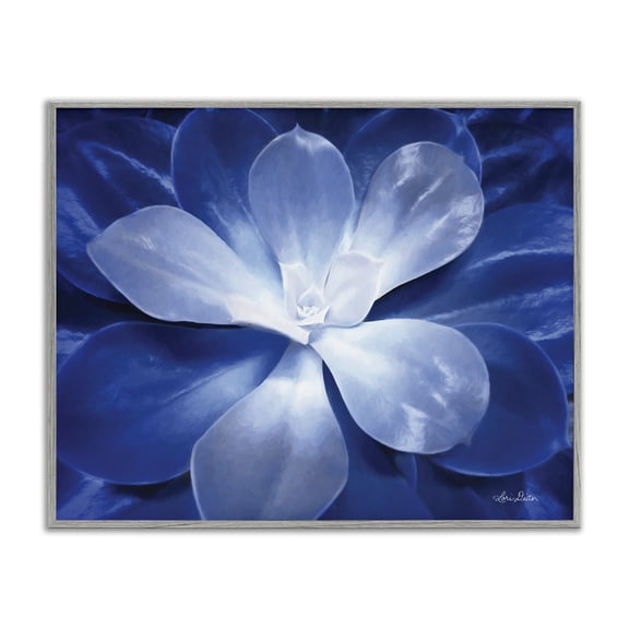 Stupell Industries Modern Monochromatic Blue Succulent Plant Detailed Botanical Petals Gray Framed Giclee Art, 14 x 11, by Lori Deiter