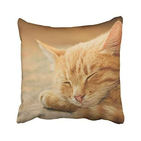 Winhome Decorative Sleeping Orange Tabby Cat Pillow Case Size