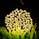 thumbnail image 2 of Beroica Solar Outdoor String Lights Blanco Cálido LED Batería Impermeable 20M 200LEDs 8 Modos Decorativos para Jardín Patio Hogar Navidad Pascua Fiesta Patio Balcón Encendido/Apagado Automático esquí esquí Gafas de esquí, 2 of 5