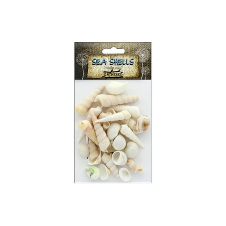 Bci 15 Tri Color - BCI Crafts Sea Shell Mix White