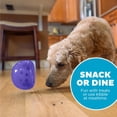 thumbnail image 4 of Juguete Interactivo Planet Dog Orbee-Tuff Lil' Snoop Morado dispensador de golosinas para Perro Pequ, 4 of 8