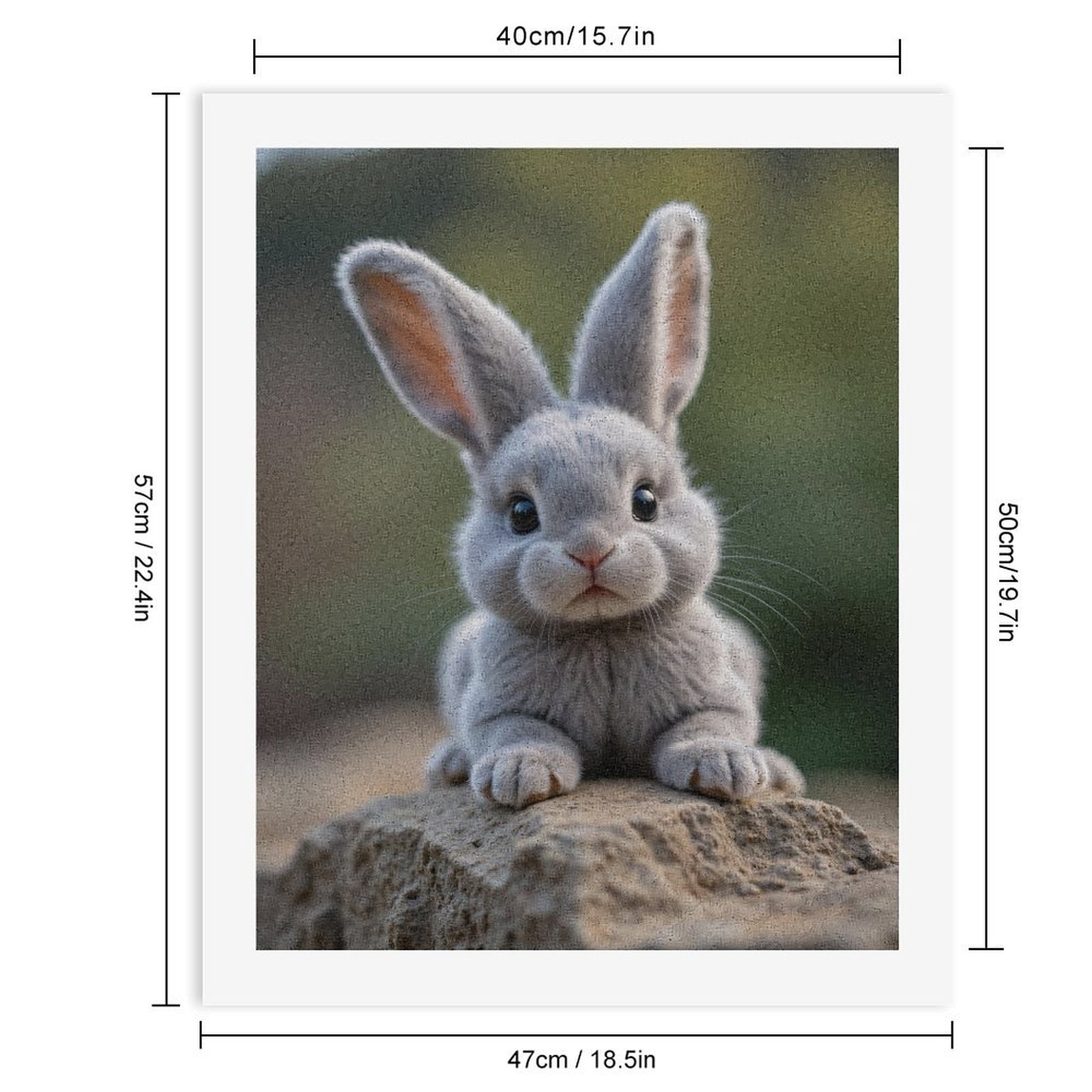 Paint by Numbers Kit for Adults, Cute Gray Bunny On Rock Paint by Numbers, Easy Paint by Numbers Kit for Adults Beginner, DIY Adult Paint by Number Kits on Canvas, 12x16in Home Decor