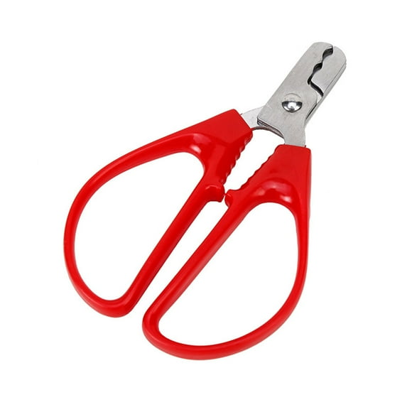Product Category Kitchen Cleaning Supplies — Nut Peeling Pliers Stainless Steel Sheller for Pistachio Nut Kitchen Tool Dining & Bar Stainless Sheller