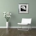 thumbnail image 3 of Michael Harrison 'Gardenia' Matted Framed Art, 3 of 3