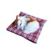 thumbnail image 1 of Juguetes de peluche para niños, muñeco de simulación encantador, juguete para dormir de animales de peluche, juguete de sonido de peluche de la vida real, cumpleaños para niñas y niños Vogacara WJ3202-04, 1 of 7