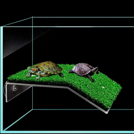 Lawn Turtle Basking Platform Turtle Resting Basking Platform