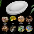 Worm Dish Reptile Food Bowl Ceramics Made for Lizard, Gecko Food Dish