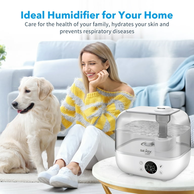 11 Best Warm Mist Humidifiers To Hydrate Your Home 2022