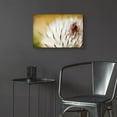thumbnail image 6 of Epic Art 'Thistle Bud' by Jessica Rogers, Acrylic Glass Wall Art, 24"x16", 6 of 8
