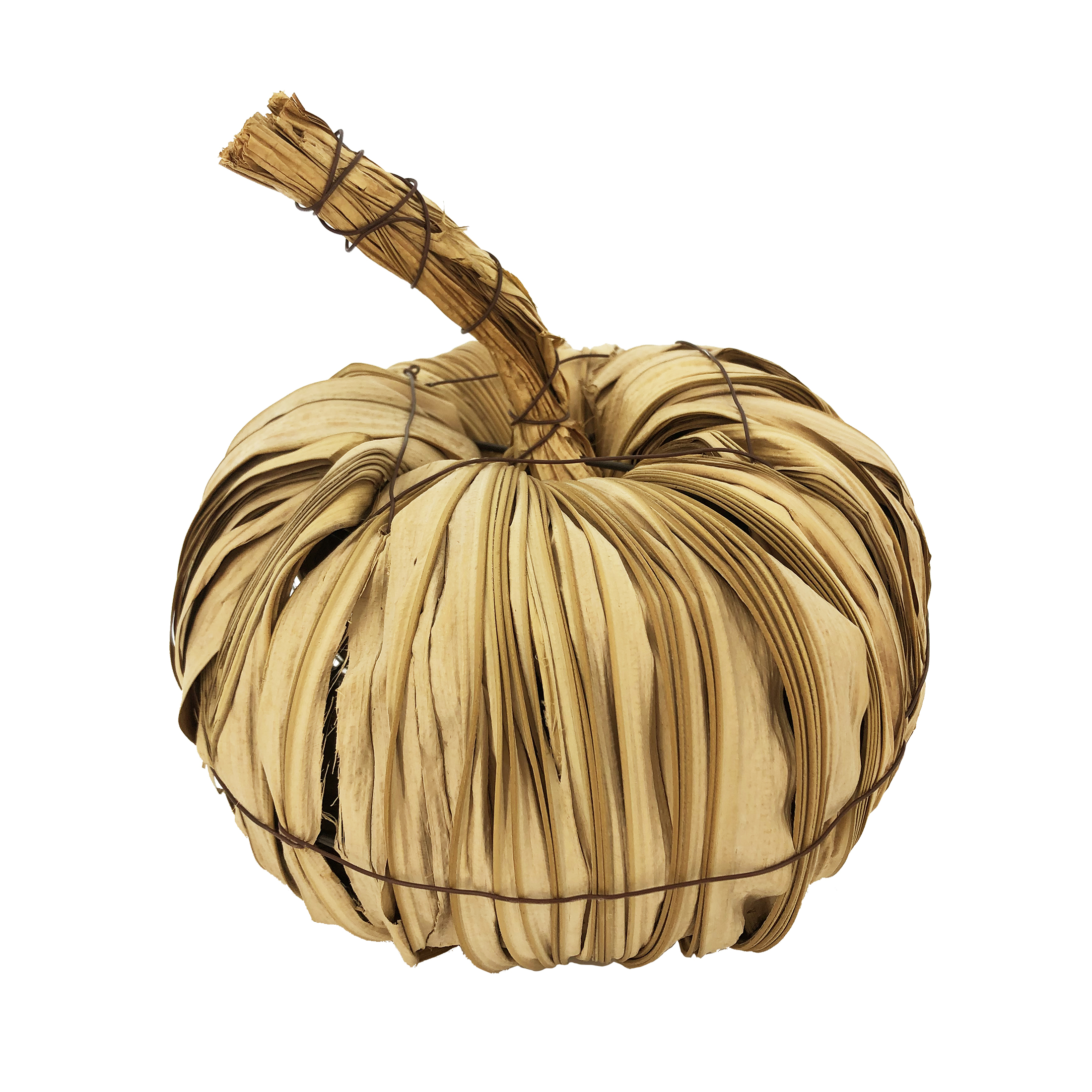 WAY TO CELEBRATE! Way To Celebrate Harvest Dried Palm Leaf 8" Pumpkin