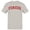 Ice Grey, variant on Buckwild Whiskey Label Retro Men's Gray T-shirt