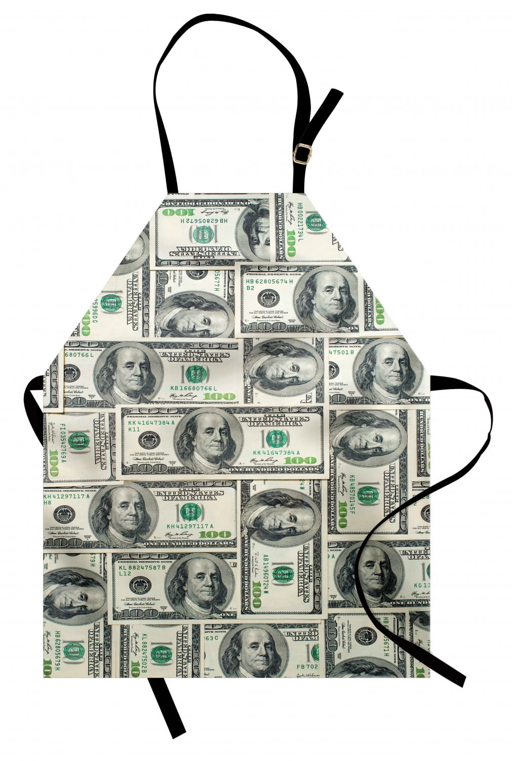 Money Apron Dollar Bills of United States Federal Reserve with the