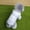 White, variant on Waterproof Pet Raincoat for Dogs Cats Lightweight Windproof Jacket