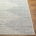 thumbnail image 4 of Hauteloom Tililan Living Room, Bedroom Patio Outdoor Area Rug - Global - Blue, Gray - 4'3" x 5'11", 4 of 7