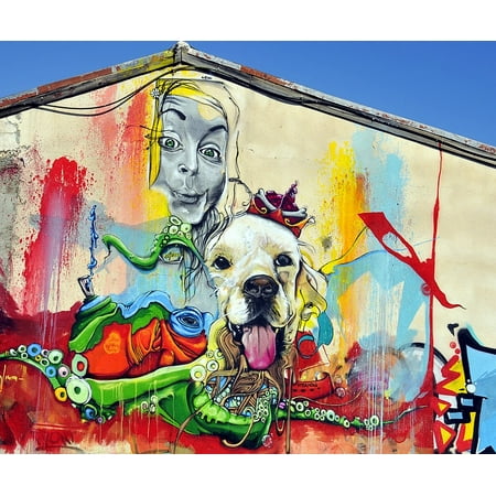 Acrylic Face Mounted Prints Street Art Painting Graffiti Art Cyprus Mural Print 20 X 16 Worry Free Wall Installation Shadow Mount Is Included - 