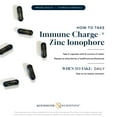 thumbnail image 4 of Quicksilver Scientific Immune Charge+ Zinc Ionophore - Zinc Supplement Complexed with Quercetin, Luteolin, Hesperetin Immune + GI Support (60 Capsules), 4 of 5