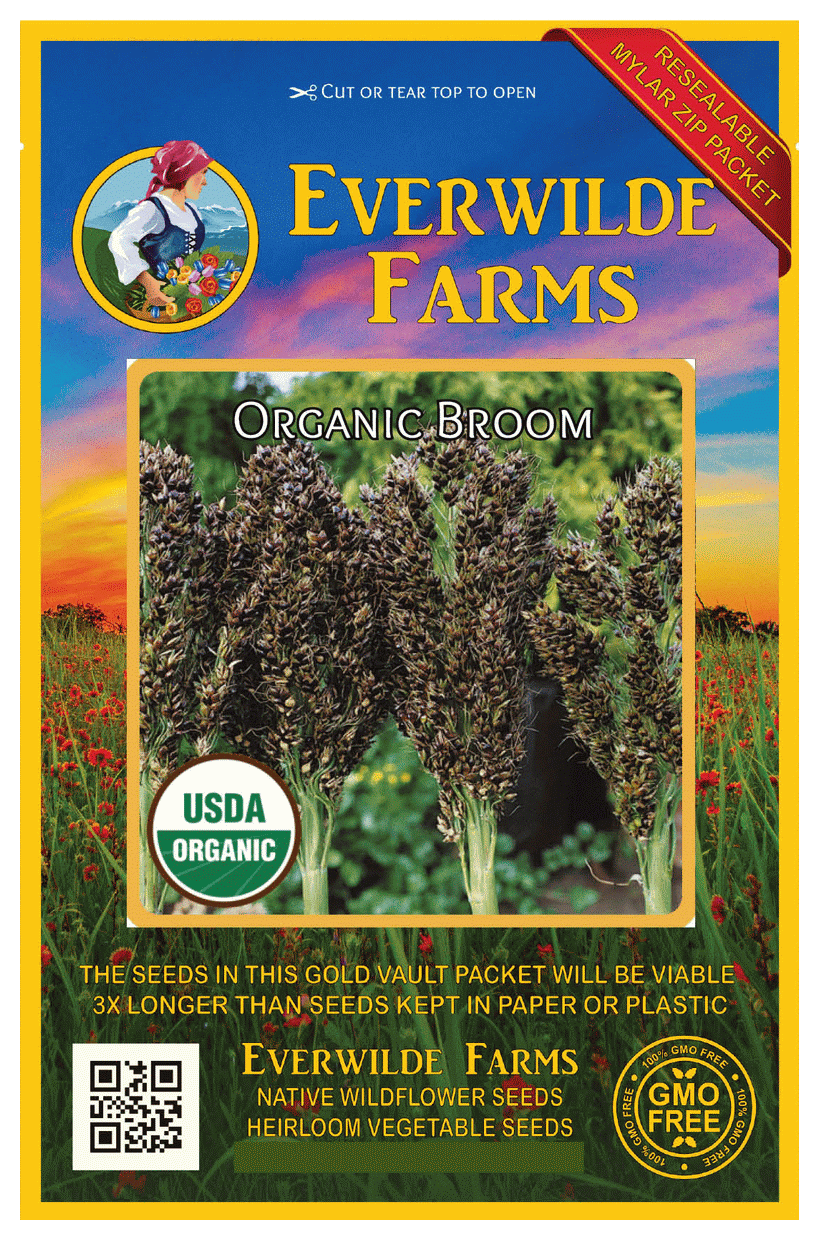 Everwilde Farms 50 Organic Broom Ornamental Corn Seeds Gold Vault