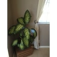 thumbnail image 2 of Rustic Horseshoe Curtain Rod Holders and Curtain Tie Back - Perfect Curtain Hangers for Windows and Sliding Doors - Natural Metal, 2 of 8