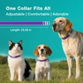 thumbnail image 5 of ZingZap Flea & Tick Collar 2-Pack Purple, Protects from Biting Insects, Adjustable Fits Both Dogs & Cats, Built-in Plant Based Formula, Slow-Release Lasting Protection, Waterproof, 5 of 7