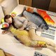 thumbnail image 4 of 26-27 1pc 40/60cm 3D Simulation Gold Fish Plush Toys Stuffed Soft Animal Carp Plush Pillow Creative Sofa Pillow Cushion Gift Kids Toy, 4 of 5