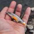 thumbnail image 2 of Rapala RipStop Lure, 2 of 4