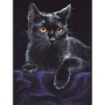 thumbnail image 1 of Diamante pintura taladro gato retrato DIY Kits completo redondo pared decoración negro FLhrweasw Nuevo, 1 of 9