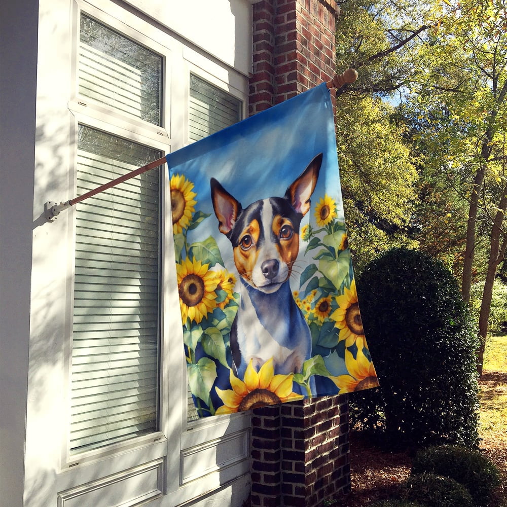 Rat Terrier in Sunflowers House Flag 28 in x 40 in