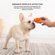 thumbnail image 5 of Juguete para Mascotas Xihbxyly Pelota de Tenis con Sonido para Perros, 5 of 7