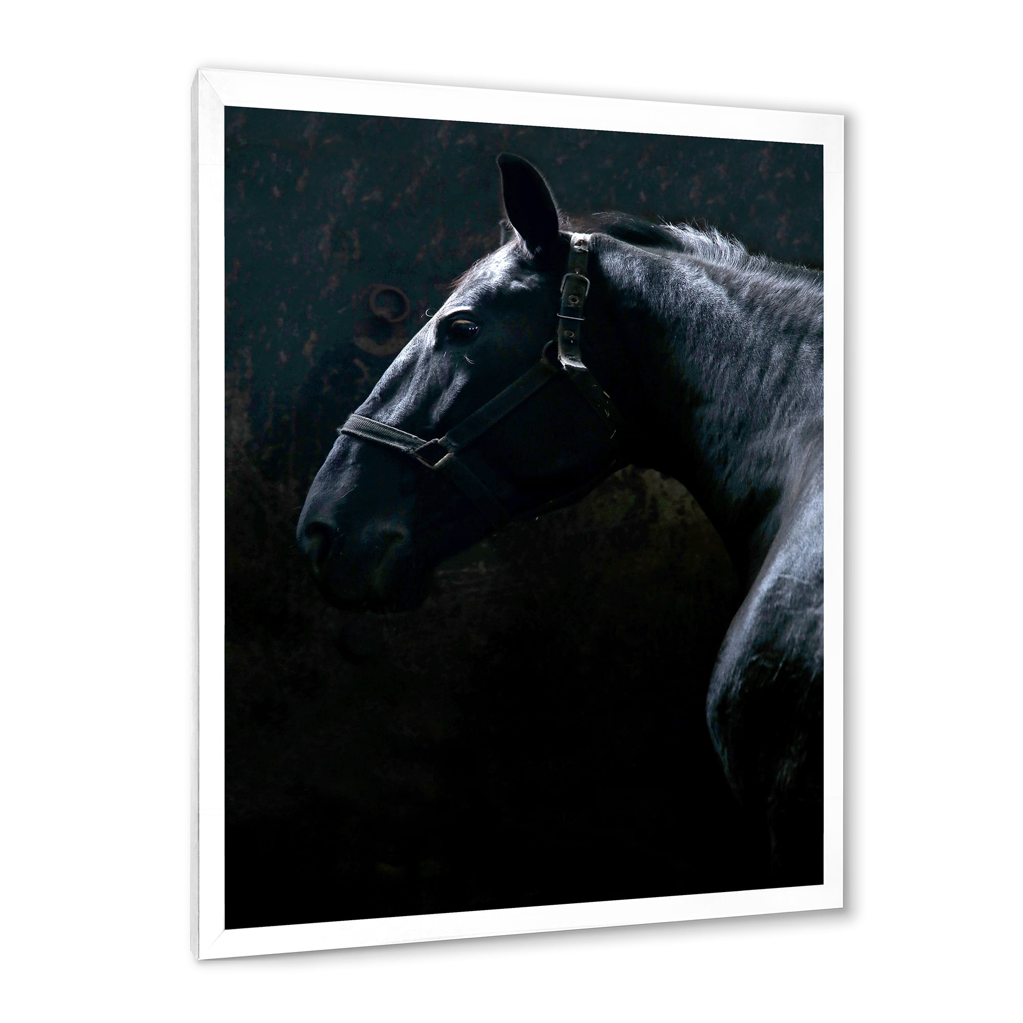 Designart 'Close Up Of Thoroughbred Nonius Stallion Horse II' Farmhouse Framed Art Print