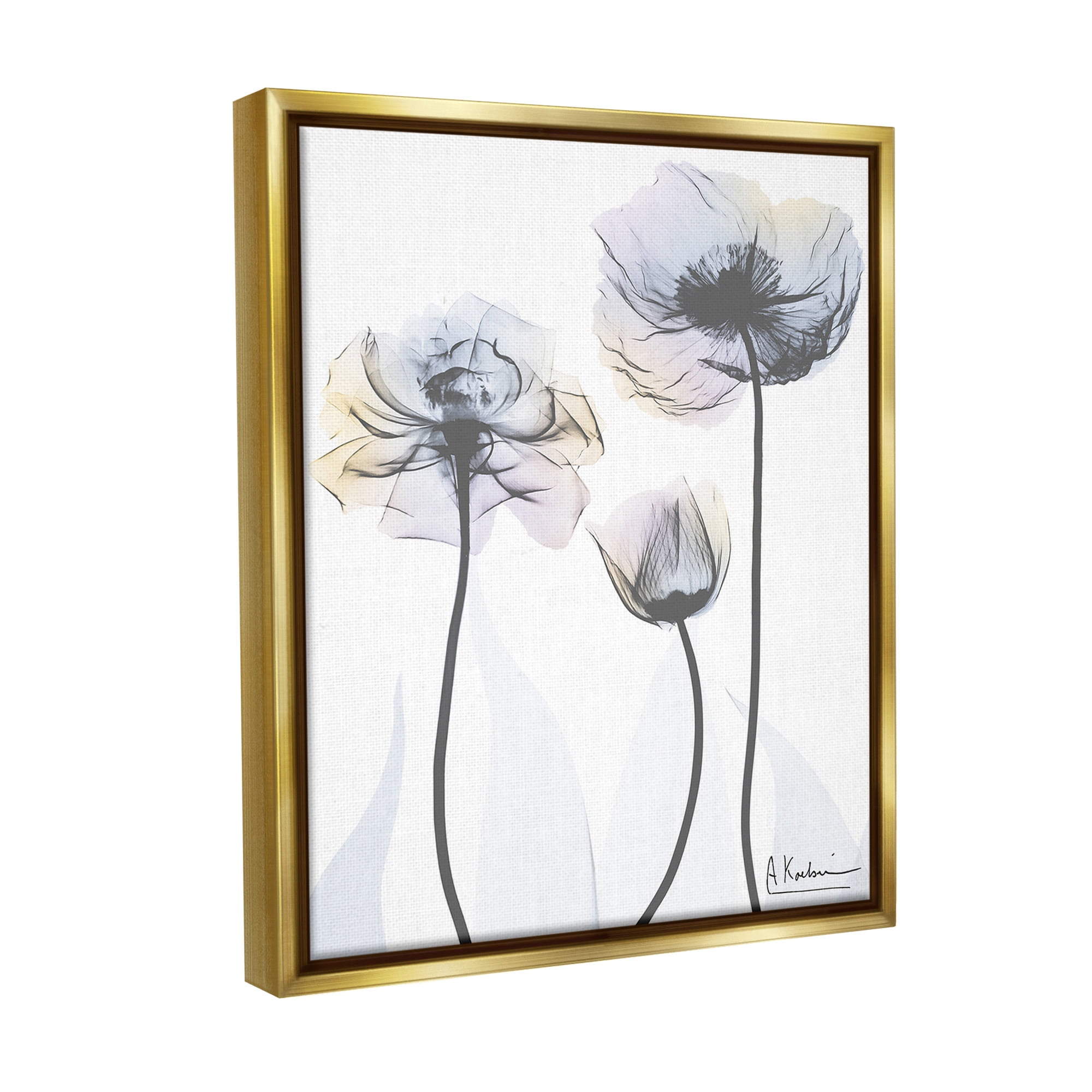 Stupell Industries Poppy Flower Trio Botanical & Floral Photography Gold Floater Framed Canvas Art Print Wall Art, 17 x 21
