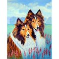 thumbnail image 1 of Two Sable Shelties Flag - Garden Size, 11 x 15 in., 1 of 1