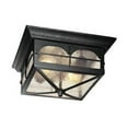 thumbnail image 3 of Home Decorators Collection Flushmount 2-Light Outdoor Aged Iron Lantern, 3 of 3