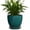 Blackish Green, variant on Wliror 6 Inch Mint Green Ceramic Plant Pot with Drainage – Cool Pastel Planter for Indoor Plants, Succulents, Herbs