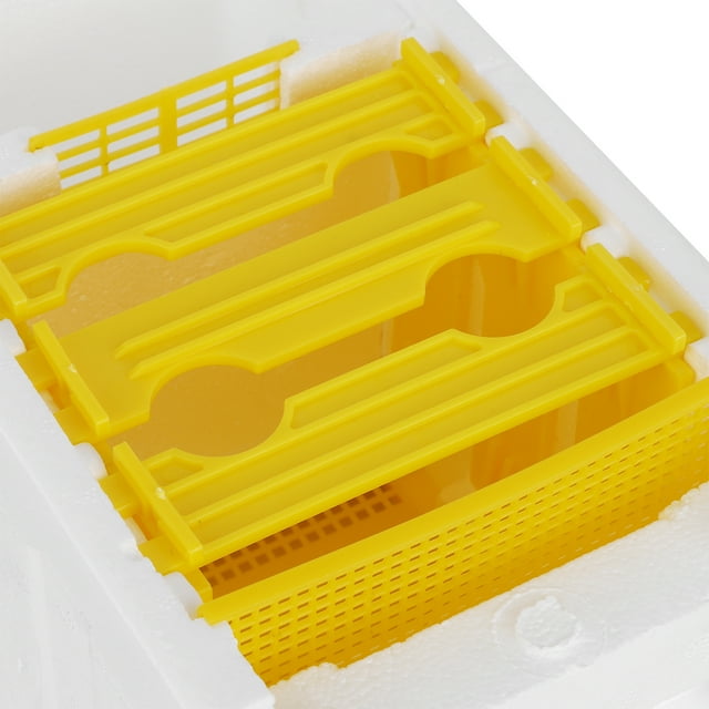 Peahefy Queen Bee Mating Box,Bee Copulation,Queen Bee Mating Box Foam Breeding Rearing Copulation Accessory Beekeeping Equipment