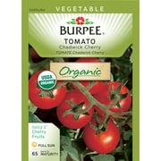 Burpee Org,tomato,chadwick Cherry
