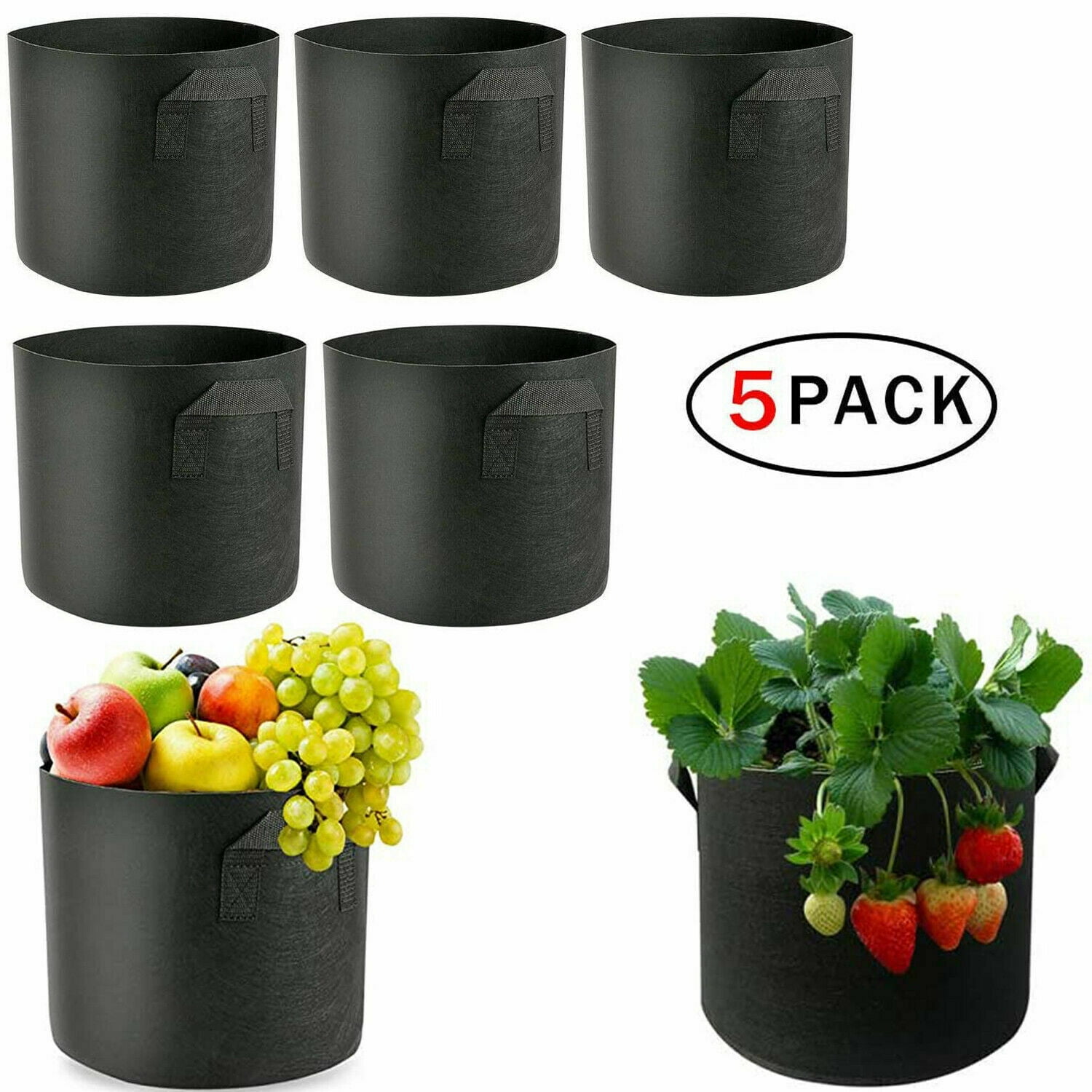 How To Plant Potatoes In 10 Gallon Grow Bags - Chitting Potatoes