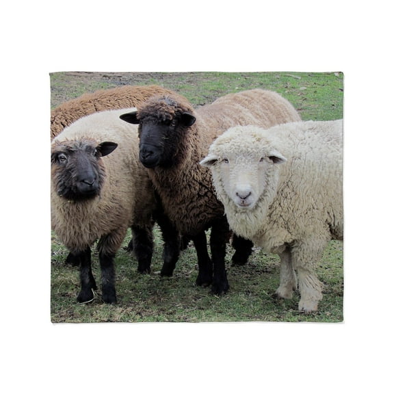 CafePress - 3 Sheep At Wachusett Throw Blanket - Soft Fleece Throw Blanket, 50"x60" for All Ages