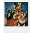 thumbnail image 4 of Película Fotográfica Polaroid Color 600 Paquete de 8 Disparos, 4 of 4