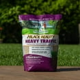Jonathan Green Black Beauty Heavy Traffic Fescue Grass Seed, 7 Lb Bag
