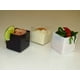 thumbnail image 2 of Mini vasito Cubo ideal para todo tipo de postres-Desechables para fiestas Exquisite Table Vasito Cubo 25pz, 2 of 2
