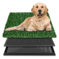 thumbnail image 1 of Tapete Entrenador Para Perros Pasto Sanitario Césped 71*46cm Xtellar verde, 1 of 4