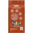 IAMS PROACTIVE HEALTH High Protein Adult Dry Cat Food with Chicken
