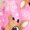 Rudolph Sachet Pink, variant on Rudolph the Red-Nosed Reindeer Toddler Boys or Girls Plush Printed Sweatshirt and Jogger Pants Set, 2-Piece, Sizes 12M-5T